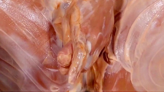 日本AV～美乃酱与香肠激情交欢，舌尖上的美味享受！