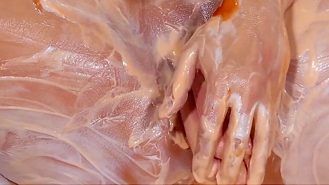 日本AV～美乃酱与香肠激情交欢，舌尖上的美味享受！