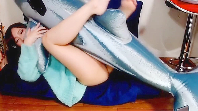 日本美女骑海豚享受狂野快感，必看影片！