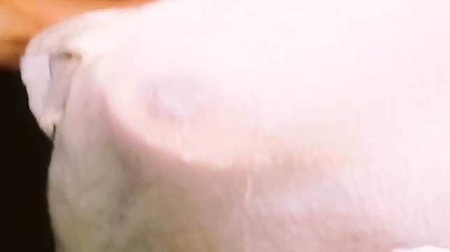 日本熟女首次体验混浴温泉——绝不能错过！