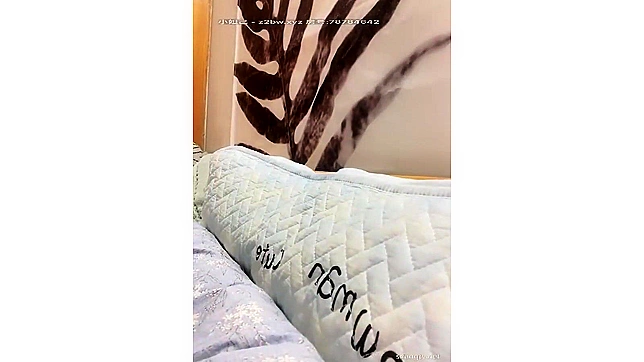 日本色情片～迷人内衣亚洲美女高清做爱场景