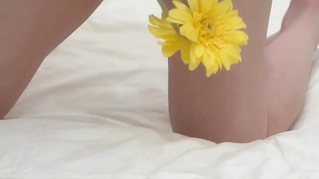 日本AV女神由子 - 魅惑身姿与诱人面容的完美结合