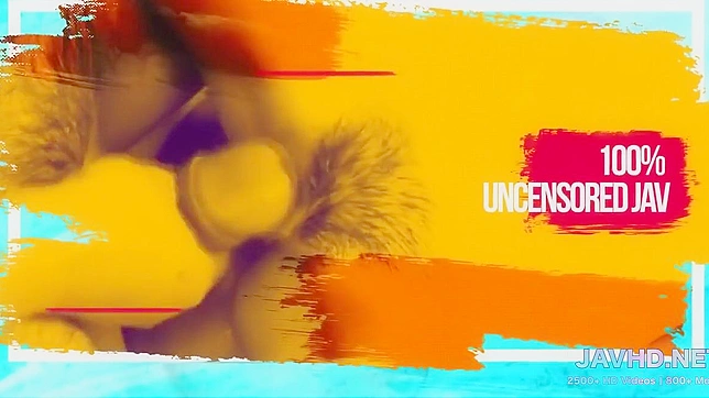 日本色情：我的亚洲熟女卷