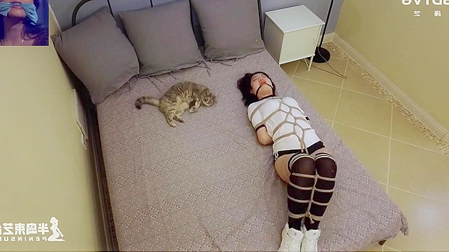 日本美女被绑缚的快乐时刻：少女受束缚体验极乐