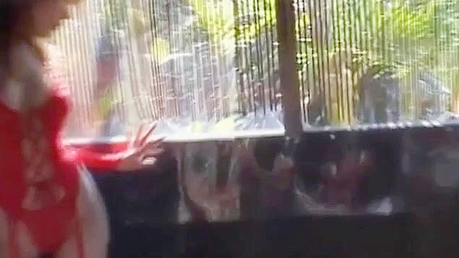 可爱的日本少女相田优在红色内衣中挑逗，准备行动。