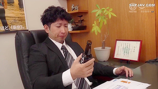 日本秘书用振动棒满足老板的任务，轻度幻想 fulfillment