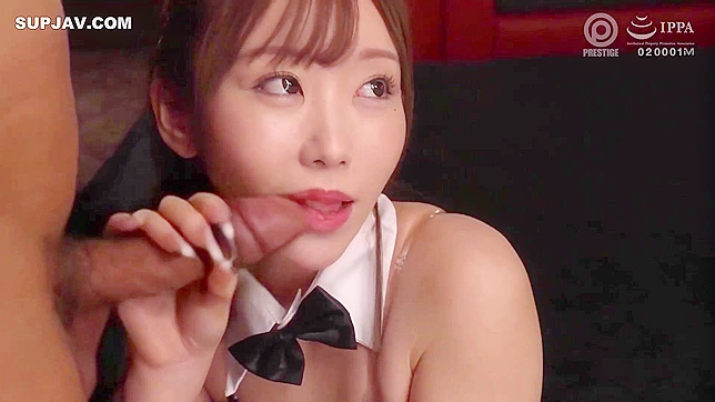 日本秘书兔女郎穿破洞渔网丝袜为两根阳具口交，双重BJ，MMF