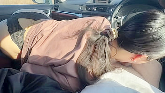 隐秘诱惑：激情车震偷欢好友