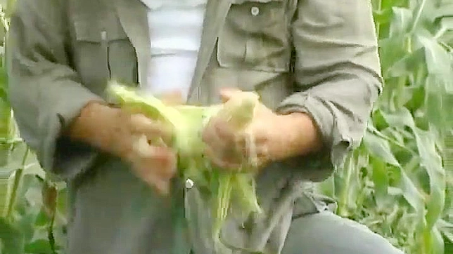 饥渴少妇在脏乱的稻田里激烈做爱发出淫荡的声音