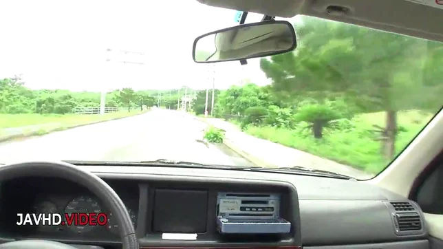 Asian Babe Gives Mind-Blowing Roadside BJ with Expert Oral Skills