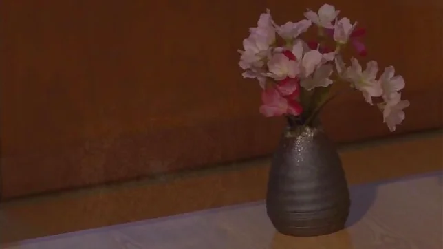 Curvaceous Airi Suzumura sucks dick and bonked good 3