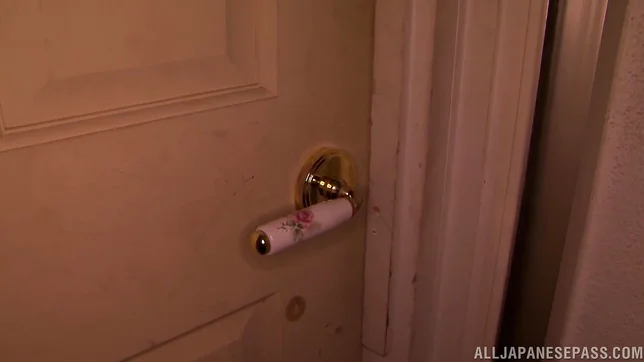 Exquisite Asian milf Anri Okita sucks and rides hard boner 3