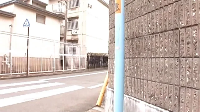 Meisa Hanai Hot Asian doll teaches sex education 2