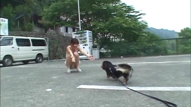 Hagiwara Mai has her cunt drilled 5