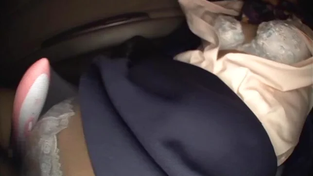 Japanese stewardess opens legs for a big cock