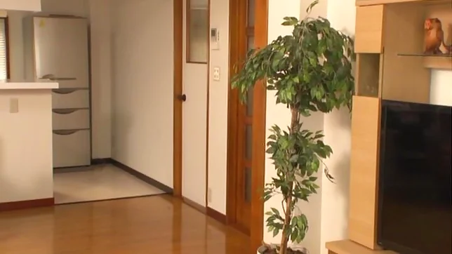 Perky tits darling worthwhile pussy slamming 4