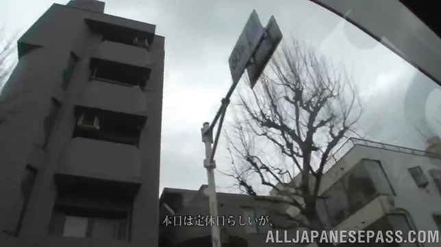 Lustful Asian milf Marika Tsutsui is drilled in a doggystyle 3