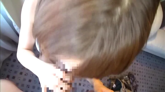 Shunka Ayami Fucked Hard While In Her Bra And Panties 5