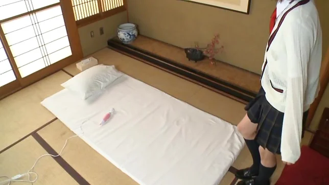 Skinny Japanese schoolgirl Towa Aragaki drills her pussy 4