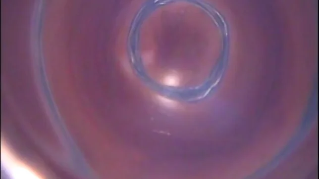 Himena Ebihara lovely Asian babe shaves her sweet pussy 4