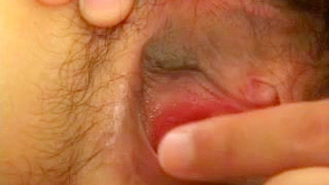 肮脏的亚洲肛交与热爱阳具的女人