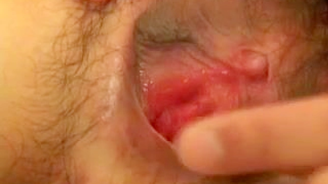 肮脏的亚洲肛交与热爱阳具的女人